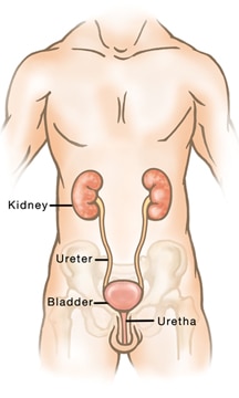 Urinieren – männlicher Körper
